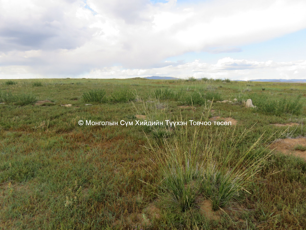 View of site